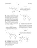 NOVEL ANTIVIRAL AGENTS diagram and image