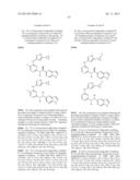 SERINE/THREONINE KINASE INHIBITORS diagram and image