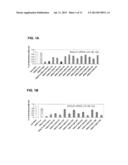 SILENCING OF CSN5 GENE EXPRESSION USING INTERFERING RNA diagram and image