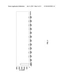 SILENCING OF CSN5 GENE EXPRESSION USING INTERFERING RNA diagram and image