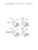 SILENCING OF CSN5 GENE EXPRESSION USING INTERFERING RNA diagram and image