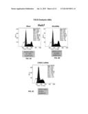 SILENCING OF CSN5 GENE EXPRESSION USING INTERFERING RNA diagram and image
