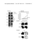 SILENCING OF CSN5 GENE EXPRESSION USING INTERFERING RNA diagram and image