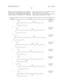 NOVEL LOW MOLECULAR WEIGHT CATIONIC LIPIDS FOR OLIGONUCLEOTIDE DELIVERY diagram and image