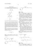 POLY(ETHYLENE GLYCOL) DERIVATIVES FOR CLICK CHEMISTRY diagram and image