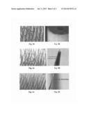 Sharp Tip Carbon Nanotube Microneedle Devices and Their Fabrication diagram and image