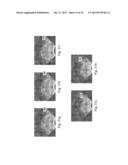 Devices, Systems, and Methods for Controlling Field of View in Imaging     Systems diagram and image