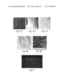 AIR IMPEDANCE ELECTROSPINNING FOR CONTROLLED POROSITY diagram and image