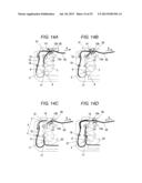 SHEET CONVEYING APPARATUS AND IMAGE FORMING APPARATUS diagram and image