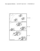 TRANSACTION MANAGEMENT FOR RACING ENTERTAINMENT diagram and image