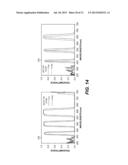 FILTER GLASSES FOR SPECTRAL STEREOSCOPIC PROJECTION SYSTEM diagram and image