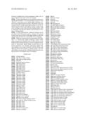 FILTER GLASSES FOR SPECTRAL STEREOSCOPIC PROJECTION SYSTEM diagram and image