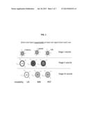 Compositions Useful for Target, Detection, Imaging and Treatment, and     Methods of Production and Use Thereof diagram and image