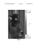 FLUORESCENT CYANINE-POLYAMINE DERIVATIVES AS A DIAGNOSTIC PROBE diagram and image