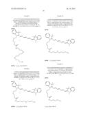 FLUORESCENT CYANINE-POLYAMINE DERIVATIVES AS A DIAGNOSTIC PROBE diagram and image