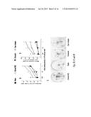 MAINTENANCE AND PROPAGATION OF MESENCHYMAL STEM CELLS diagram and image