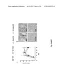 MAINTENANCE AND PROPAGATION OF MESENCHYMAL STEM CELLS diagram and image