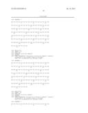 COMBINATION THERAPY OF AN AFUCOSYLATED CD20 ANTIBODY WITH AN ANTI-VEGF     ANTIBODY diagram and image