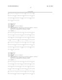 COMBINATION THERAPY OF AN AFUCOSYLATED CD20 ANTIBODY WITH AN ANTI-VEGF     ANTIBODY diagram and image