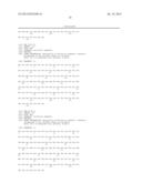 COMBINATION THERAPY OF AN AFUCOSYLATED CD20 ANTIBODY WITH AN ANTI-VEGF     ANTIBODY diagram and image