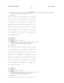 COMBINATION THERAPY OF AN AFUCOSYLATED CD20 ANTIBODY WITH AN ANTI-VEGF     ANTIBODY diagram and image