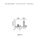 HIGH AFFINITY ANTIBODIES THAT NEUTRALIZE STAPHYLOCOCCUS ENTEROTOXIN B diagram and image