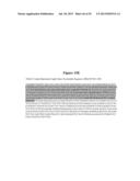 HIGH AFFINITY ANTIBODIES THAT NEUTRALIZE STAPHYLOCOCCUS ENTEROTOXIN B diagram and image