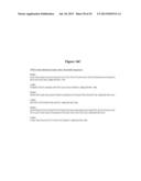 HIGH AFFINITY ANTIBODIES THAT NEUTRALIZE STAPHYLOCOCCUS ENTEROTOXIN B diagram and image