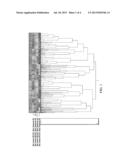 UNIQUE TRANSCRIPTIONAL SIGNATURES IN THE BLOOD OF CLINICAL RESPONDERS diagram and image