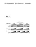 Inhibitor of HMGB Protein-Mediated Immune Response Activation, and     Screening Method diagram and image