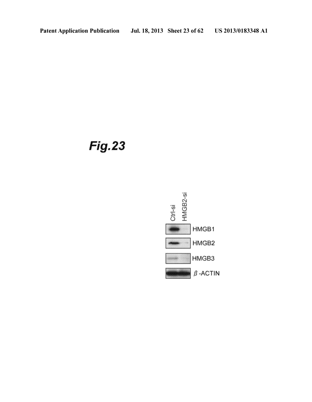 Inhibitor of HMGB Protein-Mediated Immune Response Activation, and     Screening Method - diagram, schematic, and image 24