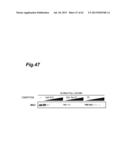 Inhibitor of HMGB Protein-Mediated Immune Response Activation, and     Screening Method diagram and image