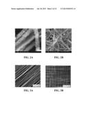 NANOFIBER SCAFFOLDS AND METHODS FOR REPAIRING DAMAGED CARDIAC TISSUE diagram and image