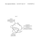 GRAFT COPOLYMER POLYELECTROLYTE COMPLEXES FOR DRUG DELIVERY diagram and image