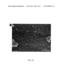 MESOPOROUS CARBON MATERIALS diagram and image