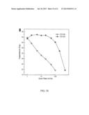 MESOPOROUS CARBON MATERIALS diagram and image