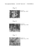 LITHIUM-SILICATE-BASED COMPOUND AND PRODUCTION PROCESS FOR THE SAME diagram and image