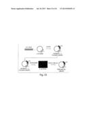 MICROFLUIDIC DEVICES diagram and image