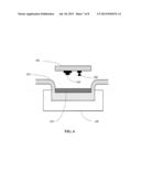 FILTERLESS TIME-DOMAIN DETECTION OF ONE OR MORE FLUOROPHORES diagram and image