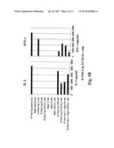 TIM-3 LIGANDS AND METHODS THEREOF diagram and image