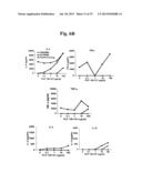 TIM-3 LIGANDS AND METHODS THEREOF diagram and image