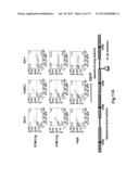 TIM-3 LIGANDS AND METHODS THEREOF diagram and image