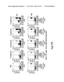 TIM-3 LIGANDS AND METHODS THEREOF diagram and image