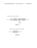 METHOD FOR PRODUCING XYLITOL FROM LIGNOCELLULOSIC HYDROLYSATES WITHOUT     DETOXIFICATION diagram and image