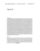 THERAPEUTIC APPLICATION OF ISOLATED NATURALLY-OCCURRING SOLUBLE TRUNCATED     FORMS OF IL-23 RECEPTOR diagram and image