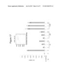 THERAPEUTIC APPLICATION OF ISOLATED NATURALLY-OCCURRING SOLUBLE TRUNCATED     FORMS OF IL-23 RECEPTOR diagram and image