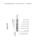 THERAPEUTIC APPLICATION OF ISOLATED NATURALLY-OCCURRING SOLUBLE TRUNCATED     FORMS OF IL-23 RECEPTOR diagram and image