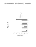 THERAPEUTIC APPLICATION OF ISOLATED NATURALLY-OCCURRING SOLUBLE TRUNCATED     FORMS OF IL-23 RECEPTOR diagram and image