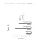 THERAPEUTIC APPLICATION OF ISOLATED NATURALLY-OCCURRING SOLUBLE TRUNCATED     FORMS OF IL-23 RECEPTOR diagram and image