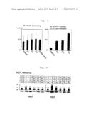 METHOD OF EFFICIENTLY ESTABLISHING INDUCED PLURIPOTENT STEM CELLS diagram and image